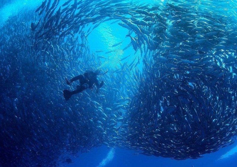 幻想纹章3.3